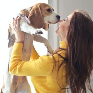 reward your puppy