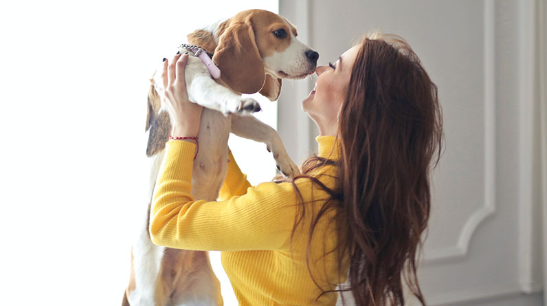 reward your puppy